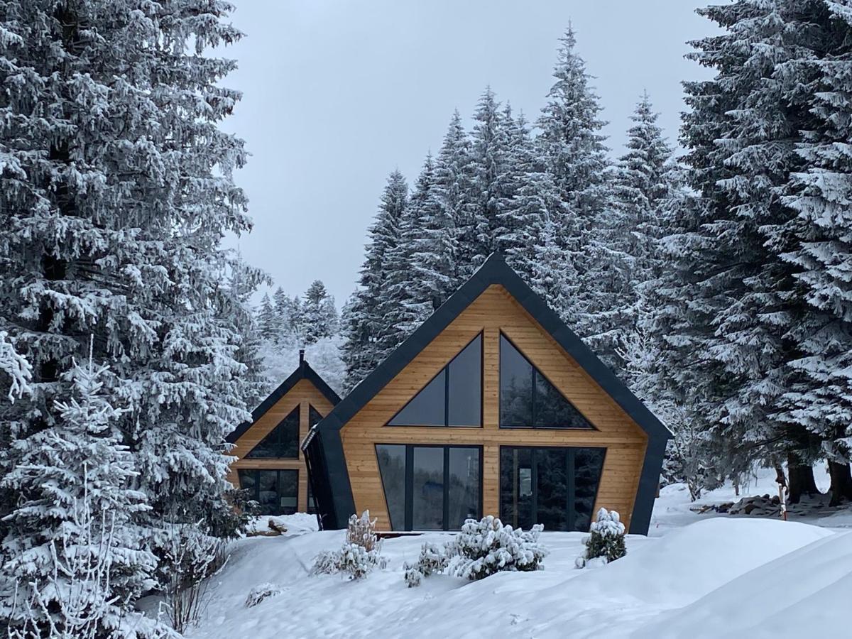 Chalet Belveder Horska Chata Železná Ruda 外观 照片