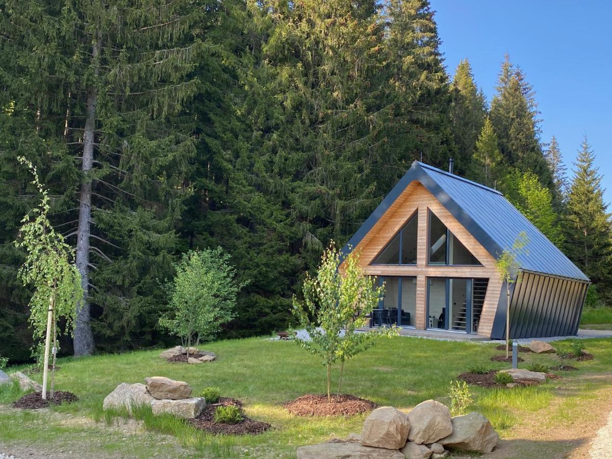 Chalet Belveder Horska Chata Železná Ruda 外观 照片
