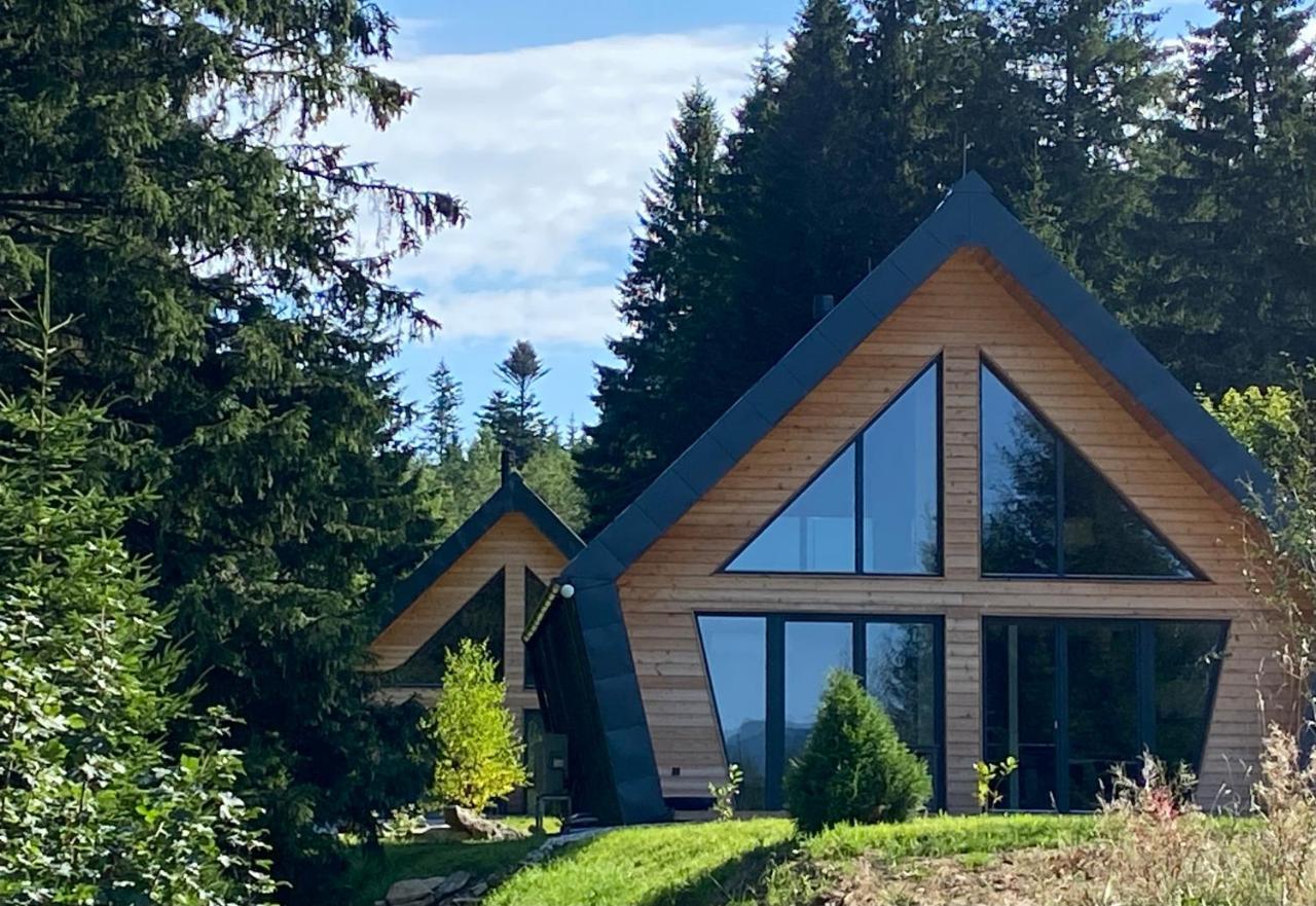Chalet Belveder Horska Chata Železná Ruda 外观 照片