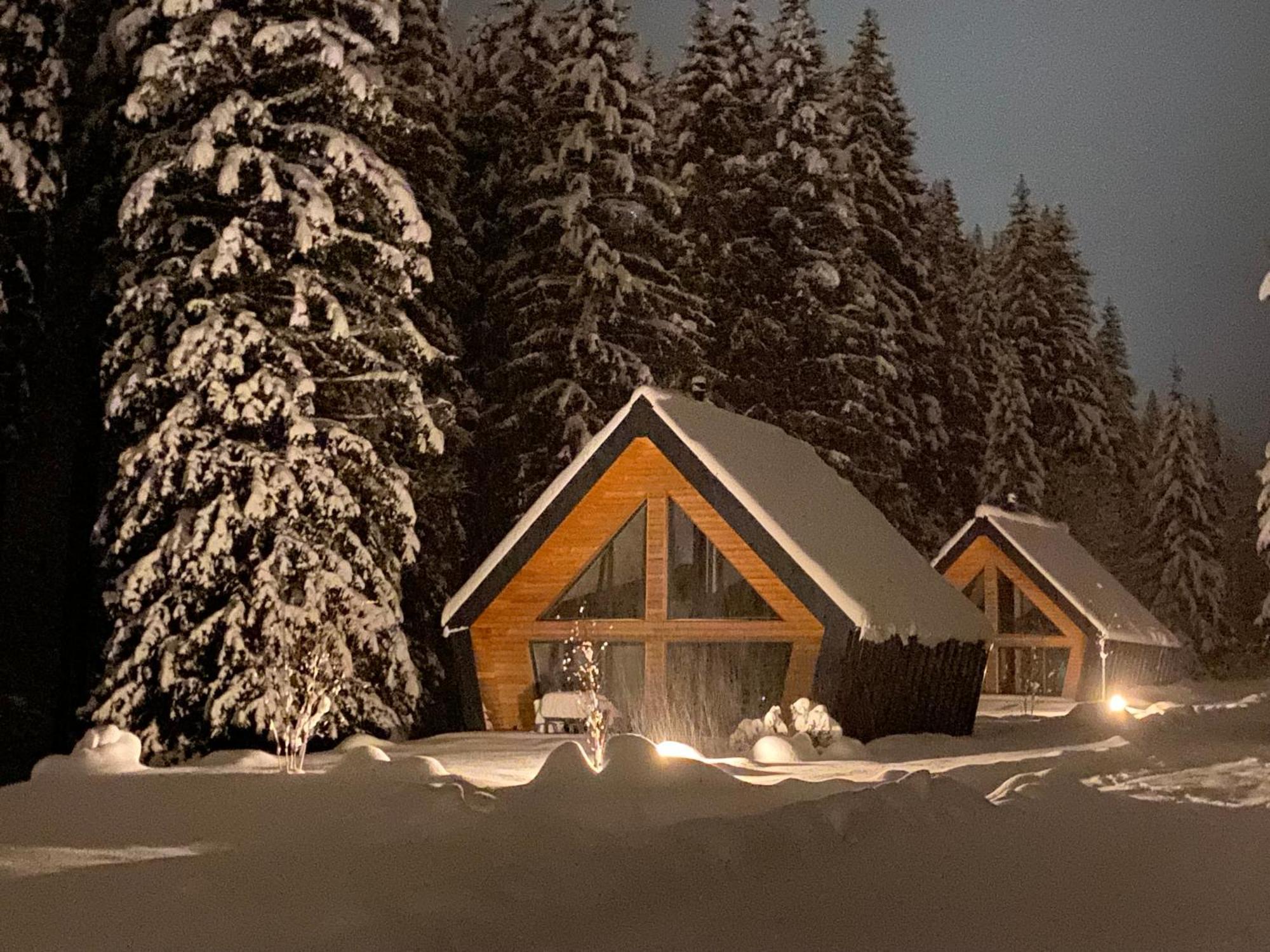 Chalet Belveder Horska Chata Železná Ruda 外观 照片