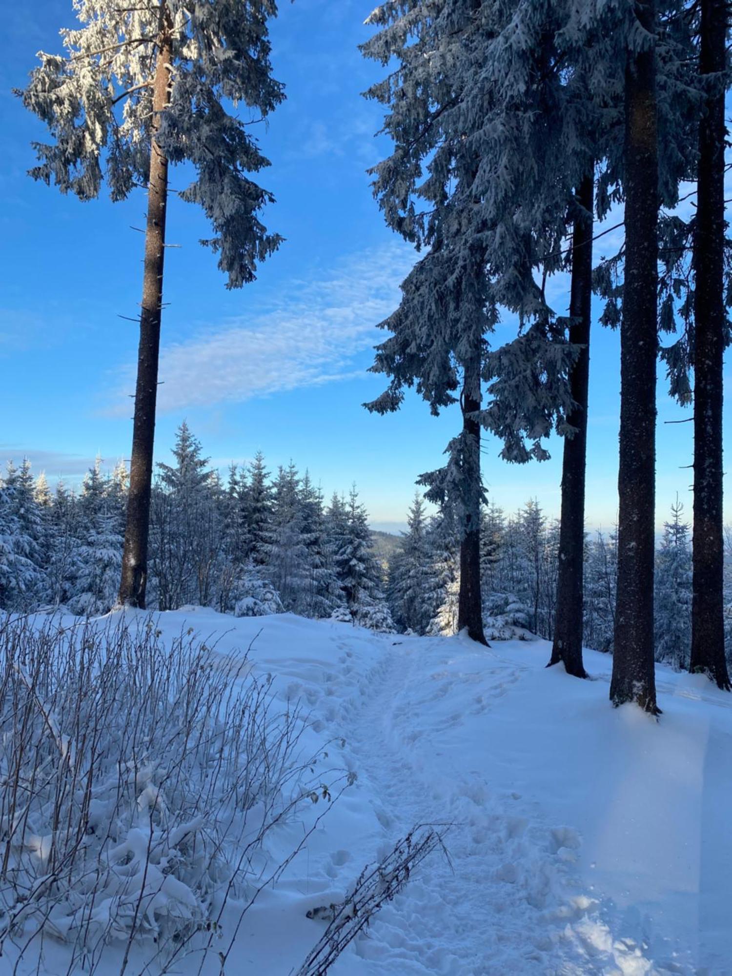 Chalet Belveder Horska Chata Železná Ruda 外观 照片